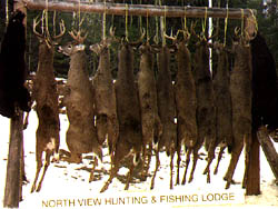 now this is a successful hunt!